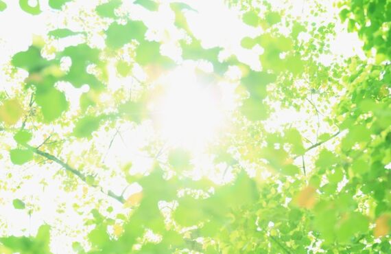 カラー会員募集中！毎月のグレイカラーは負担が大きい！